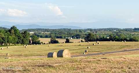 Lot 10 Summerset Drive, Talbott, TN 37877