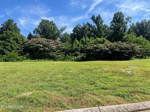 Lot 10-12 Shooting Star Loop, Townsend, TN 37882