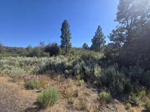 Wrightwood, Chiloquin, OR 97624