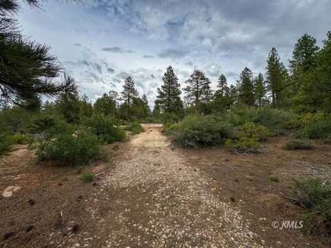 Fir Rd, Orderville, UT 84758