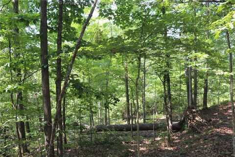 3 Walker Ridge Road, Walton, WV 25286