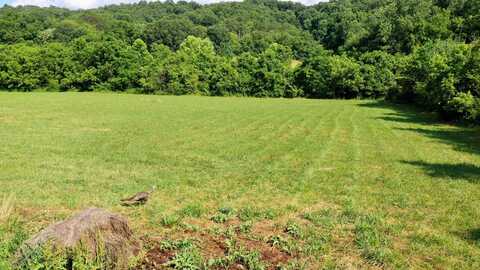 350 N VFW Road, Bulls Gap, TN 37711