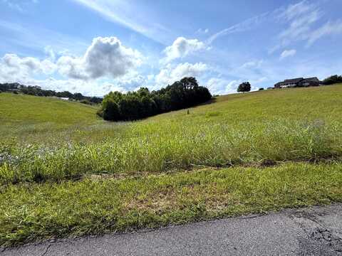 Lots 17-18 English Mtn Road, Newport, TN 37821