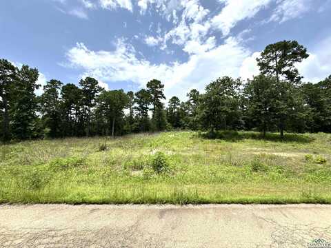 Lot 9 CR 3545, Hawkins, TX 75765
