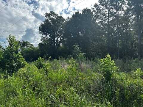 1120 Lawrence Street, Diboll, TX 75941