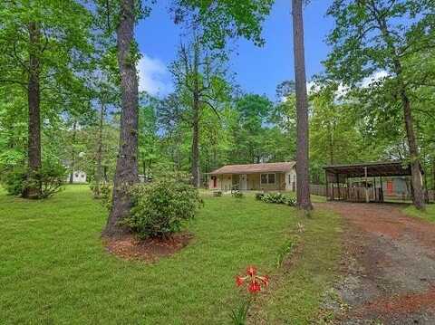 199 Wood Lane, Pineland, TX 75968