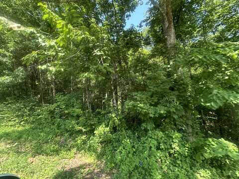 2 Acres Holly Creek Road, Celina, TN 38551
