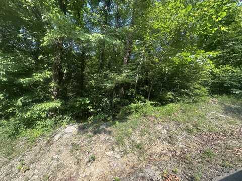 Lot 49 Rock Springs Road, Celina, TN 38551