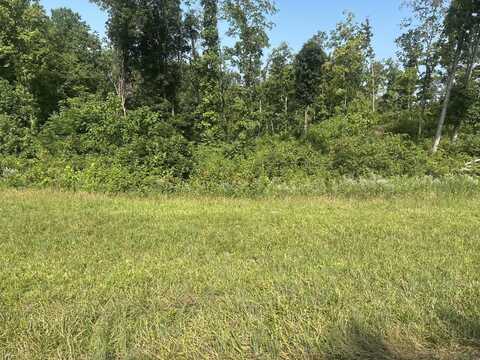 Lot 28 Rock Springs Road, Celina, TN 38551