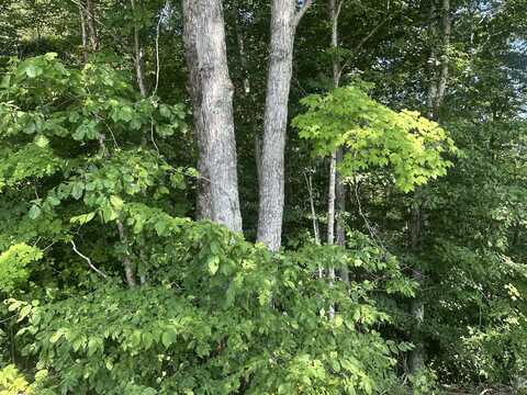 43 Rock Springs Road, Celina, TN 38551