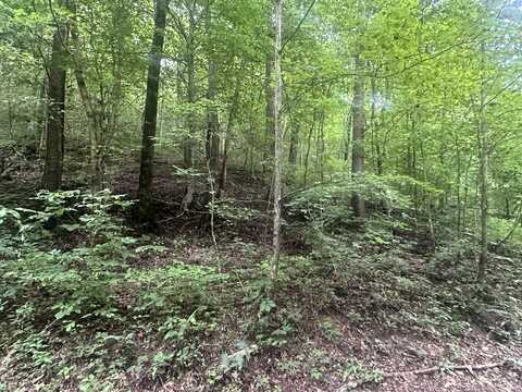 Lot 24 Rock Springs Road, Celina, TN 38551