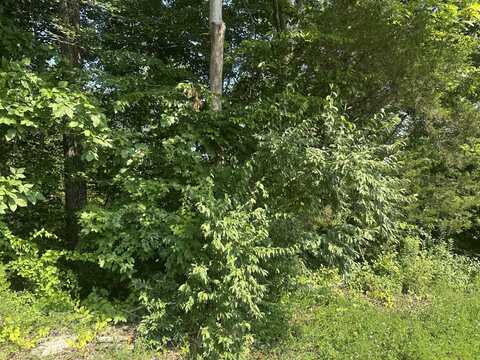 Lot 26 Rock Springs Road, Celina, TN 38551