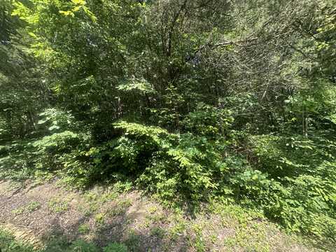 Lot 25 Rock Springs Road, Celina, TN 38551