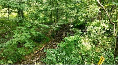 Lt 43 Huckleberry Drive, Science Hill, KY 42553