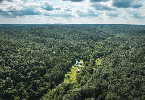539 County Road 69A, Black, MO 63625