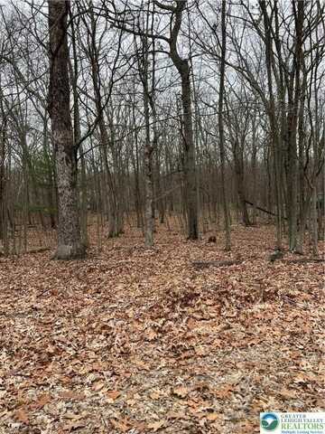 129 Fall Court unit: 58, Pike, PA 18328