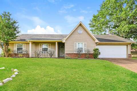 6583 SHAKER, Memphis, TN 38141