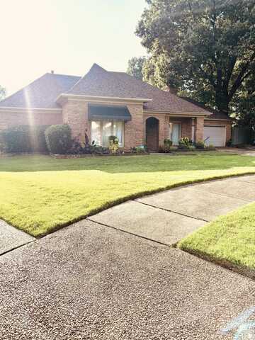 3507 HACKS, Memphis, TN 38119