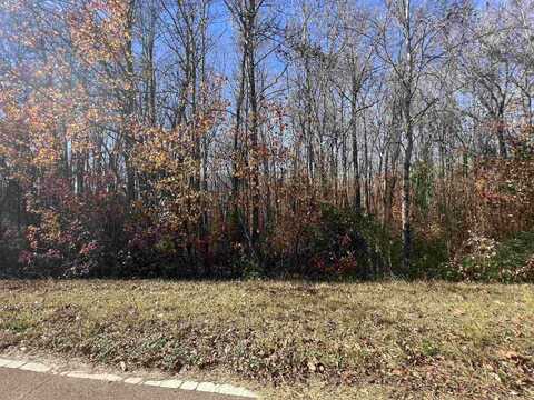 0 HWY 22, McKenzie, TN 38201