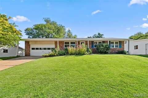 11767 Benedetta Drive, Bridgeton, MO 63044