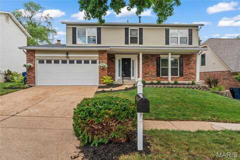 6029 Terri Lynn Drive, Affton, MO 63123