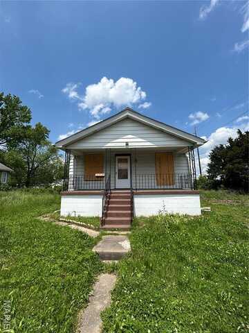 605 Fremont Avenue, Saint Louis, MO 63147