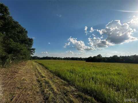 Tract 11b Audrain Rd 935, Mexico, MO 65265