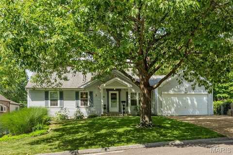 849 Fairdale Avenue, Saint Louis, MO 63119