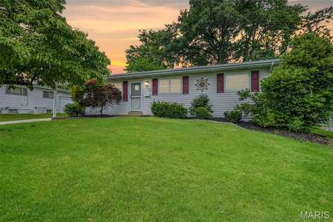 1385 Mallard Lane, Florissant, MO 63031