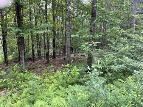 956 N Barnstead Road, Barnstead, NH 03225