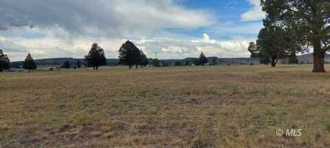 Lot 47 Blk 14, LU1B, Honey View Drive, Alturas, CA 96101