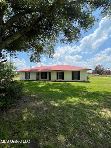 439 New Hope Road, Mount Olive, MS 39119