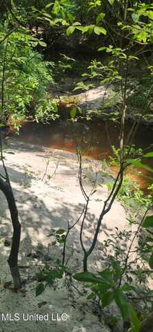 0 Peapatch Road, Biloxi, MS 39532