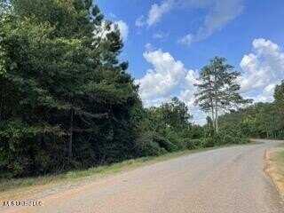 0 Road 270, Union, MS 39365