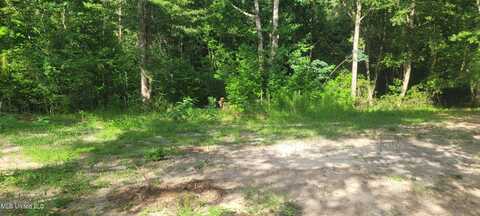 19296 Pete Hickman Road, Saucier, MS 39574