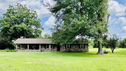 951 Scr 19 Road, Taylorsville, MS 39168