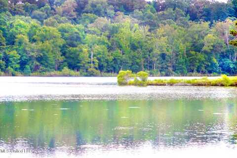 72 Chestnut Spring Road, Flora, MS 39071