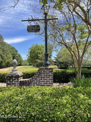 92 Moonlight Hollow, Flora, MS 39071