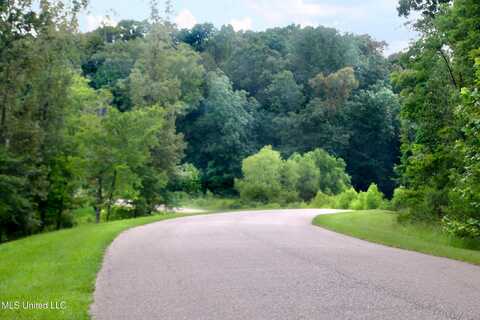 92a Moonlight Hollow, Flora, MS 39071