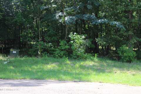 92a Moonlight Hollow, Flora, MS 39071