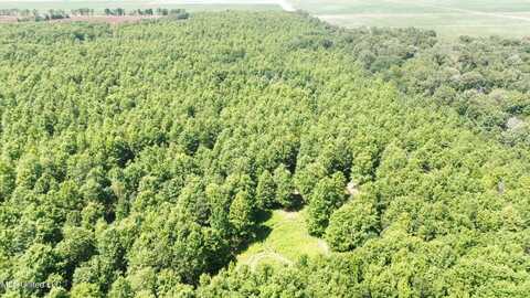 Hwy 442, Schlater, MS 38952