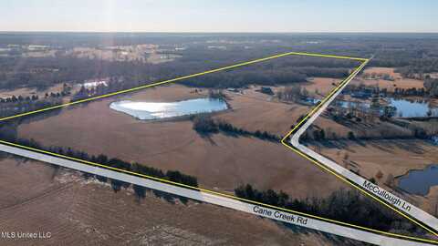 0 Mccullough Lane, Flora, MS 39071