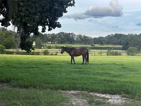 SW 107TH STREET, ARCHER, FL 32618