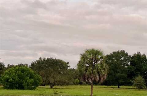 SW 107TH STREET, ARCHER, FL 32618