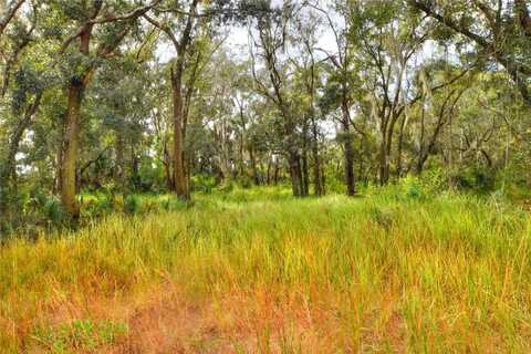 0 KEYSVILLE ROAD, LITHIA, FL 33547