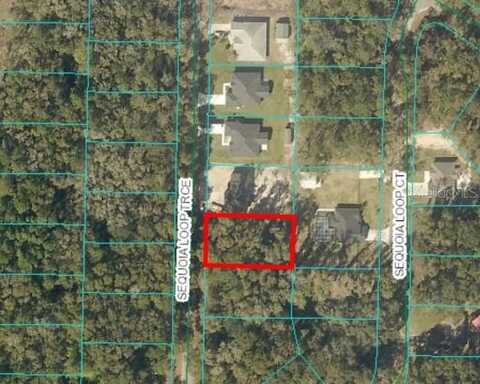 17 SEQUOIA TRACE, OCKLAWAHA, FL 32179