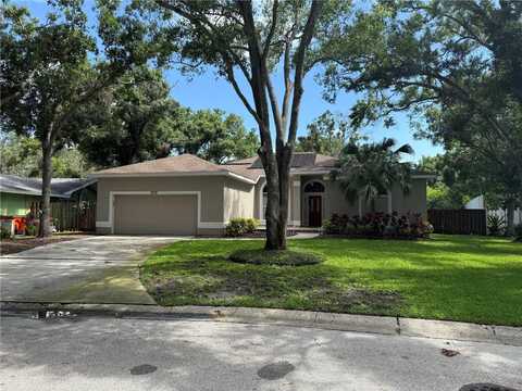 2806 SPINNING SILK COURT, KISSIMMEE, FL 34747