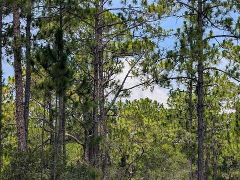 DELAND AVENUE, INDIAN LAKE ESTATES, FL 33855