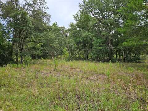 921 NE 148TH COURT, WILLISTON, FL 32696