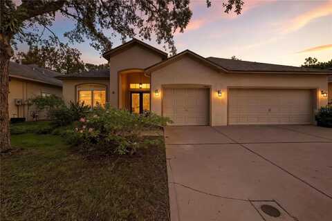 19213 PELICAN RIDGE LANE, TAMPA, FL 33647